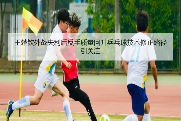 王楚钦外战失利后反手质量回升乒乓球技术修正路径引关注
